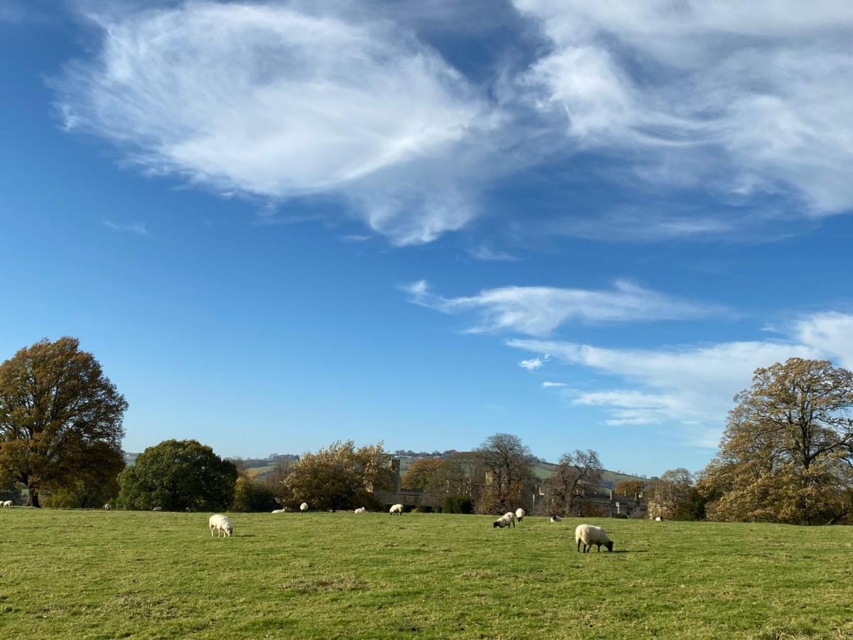 وينشكومبي Zen Cottage, Cheltenham المظهر الخارجي الصورة